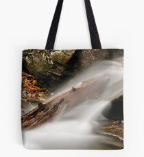 Ricketts Glen Tote Bag