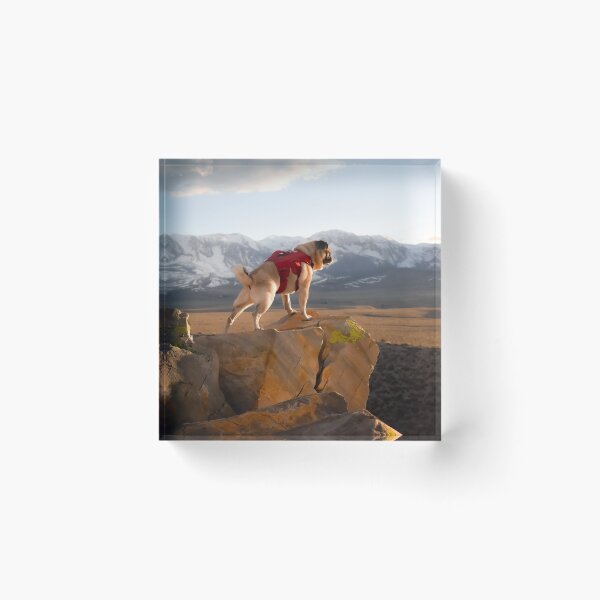 Item preview, Majestic Mountain Pug Plans His Summits designed and sold by pugventurephoto.