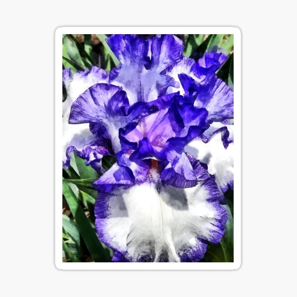 Item preview, Classic Look Iris Closeup designed and sold by Susan Savad.