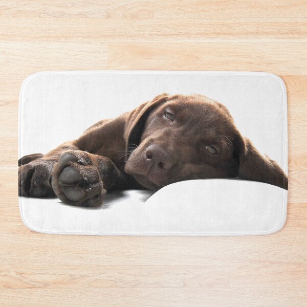 Item preview, Chocolate Labrador Puppy Lying Down designed and sold by CoolYule.