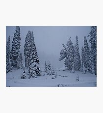 First Snowstorm Photographic Print