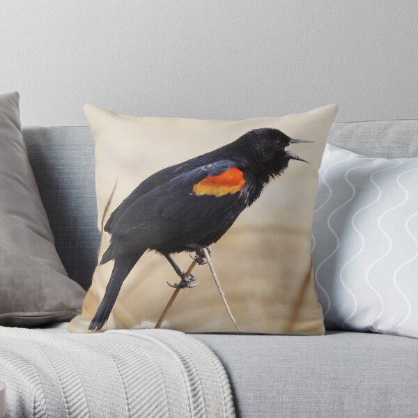 Red Winged Blackbird Throw Pillow
