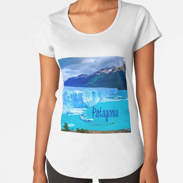 patagonia fraternity shirt