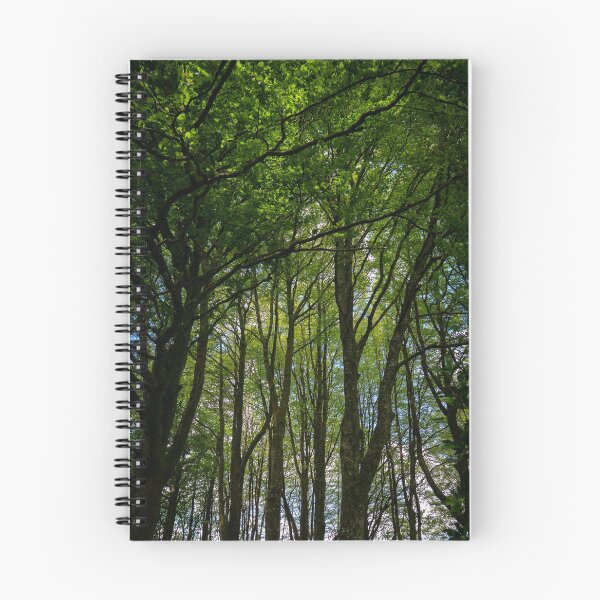 Item preview, Tree canopy designed and sold by SteveJSmith42.