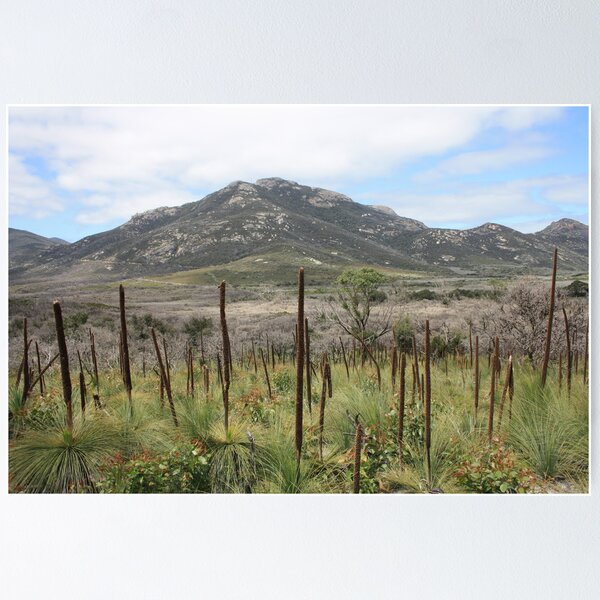 Item preview, Mt Oberon from Lilly Pilly Gully Track designed and sold by Glen Sheppard.