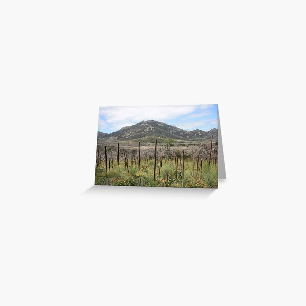 Item preview, Mt Oberon from Lilly Pilly Gully Track designed and sold by Glen Sheppard.