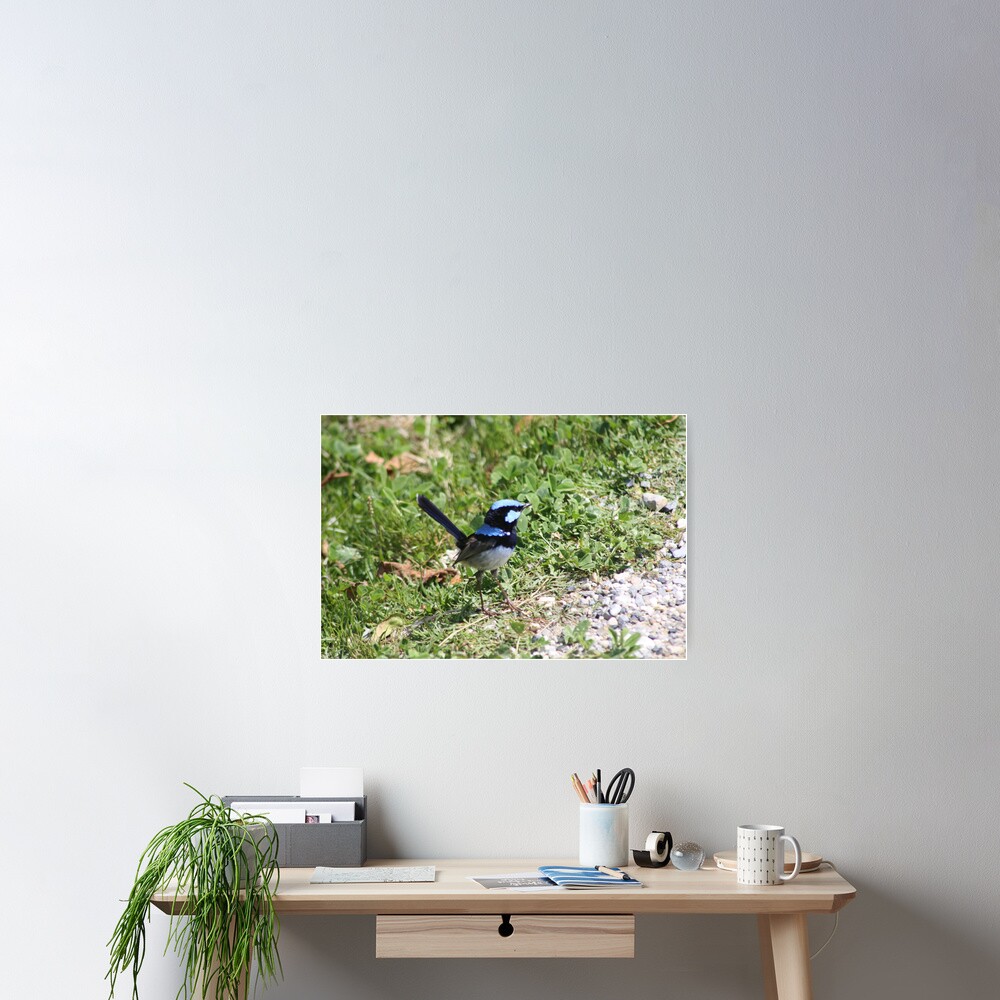 Item preview, Poster designed and sold by shep34.