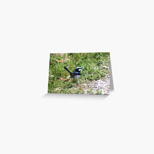 Item preview, Blue Wren designed and sold by Glen Sheppard.