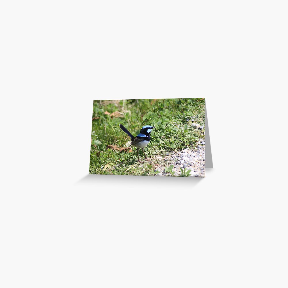 Item preview, Greeting Card designed and sold by shep34.