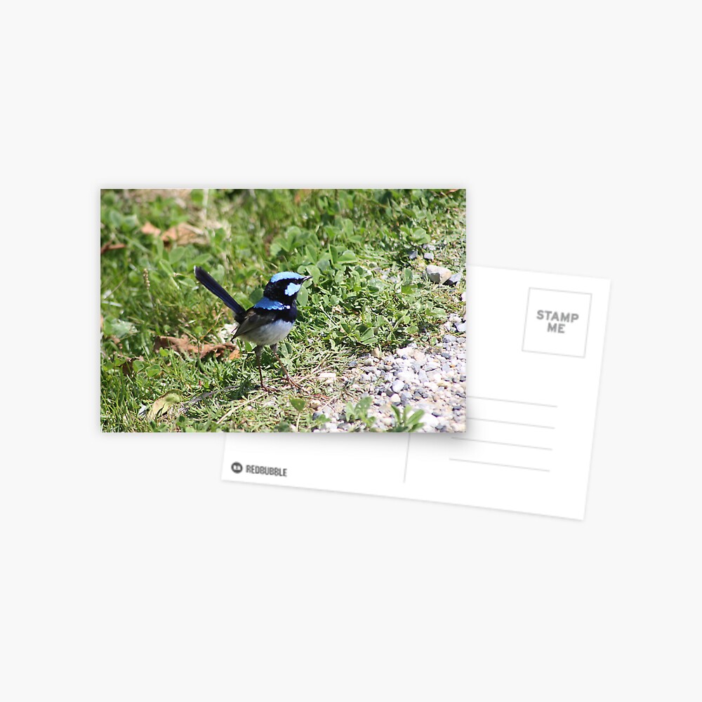 Item preview, Postcard designed and sold by shep34.