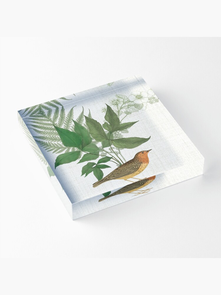 Alternate view of Botanical Bird with Leaves and Ferns Digital Collage of Vintage Elements Acrylic Block