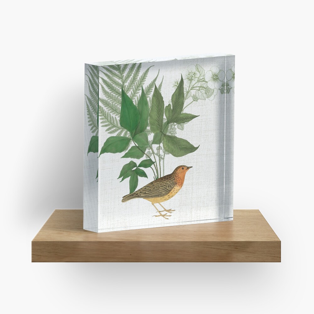 Botanical Bird with Leaves and Ferns Digital Collage of Vintage Elements Acrylic Block