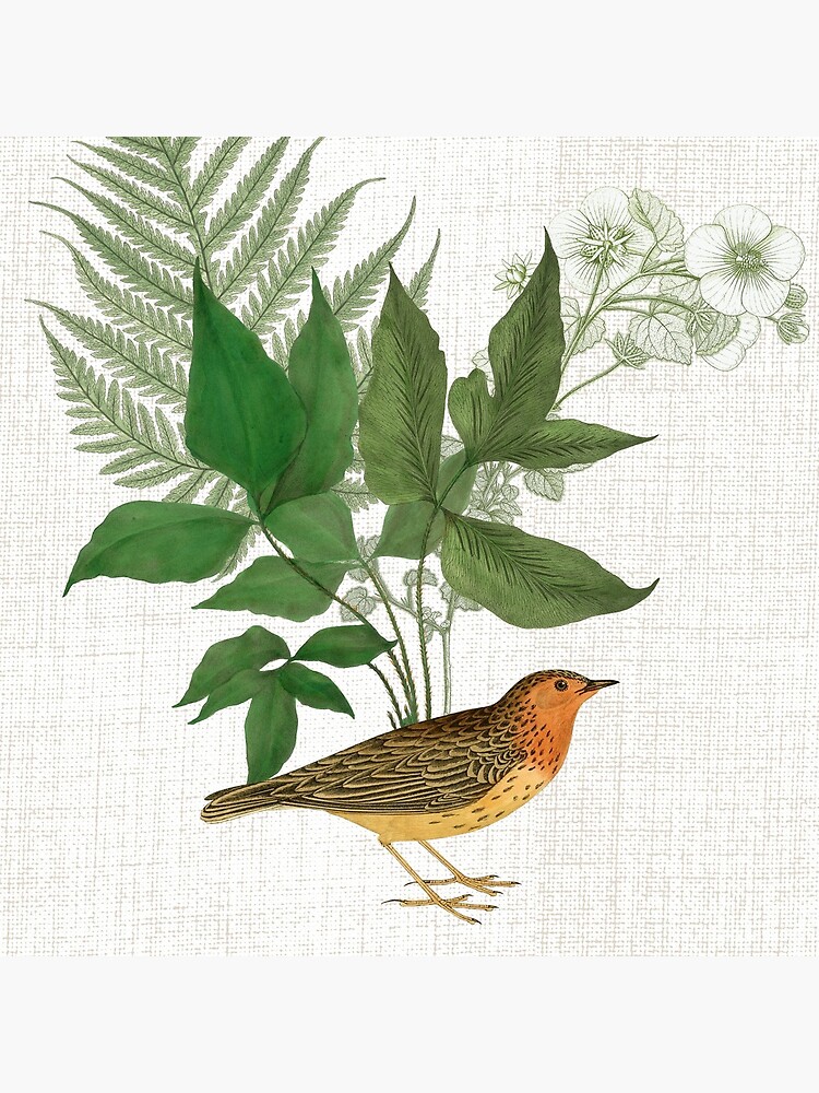 Botanical Bird with Leaves and Ferns Digital Collage of Vintage Elements by SteveRH