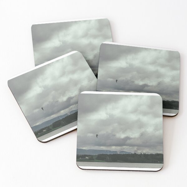Item preview, An Arctic Tern Soaring Above Lake Ellidavatn designed and sold by Caitlin Meyer.