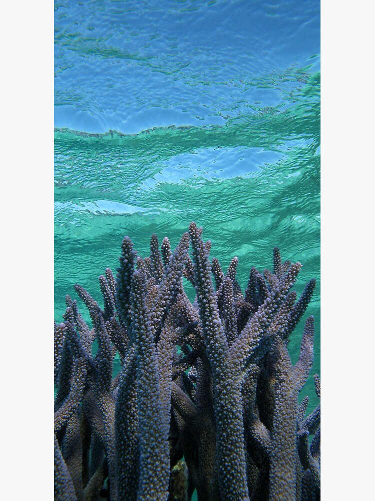 Shades of Blue by neoniphon