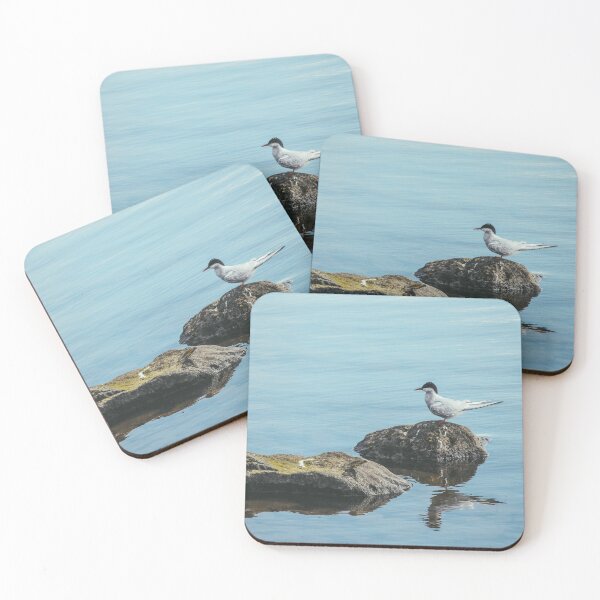 Item preview, An Arctic Tern At Rest designed and sold by Caitlin Meyer.