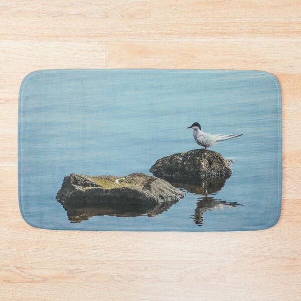 Item preview, An Arctic Tern At Rest designed and sold by Caitlin Meyer.