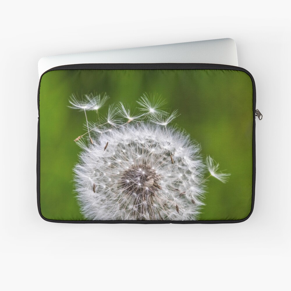 Artikel-Vorschau von Laptoptasche, designt und verkauft von Igelchen.