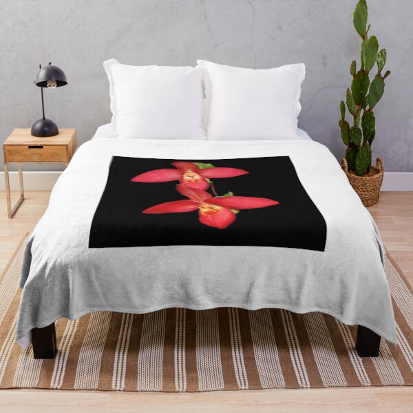 Item preview, Beautiful Phragmipedium Orchid. designed and sold by vette.