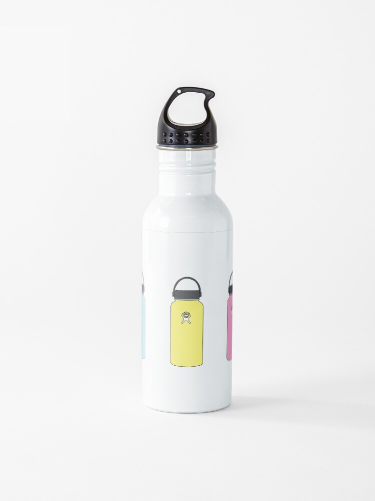 hydro flask 2 pack