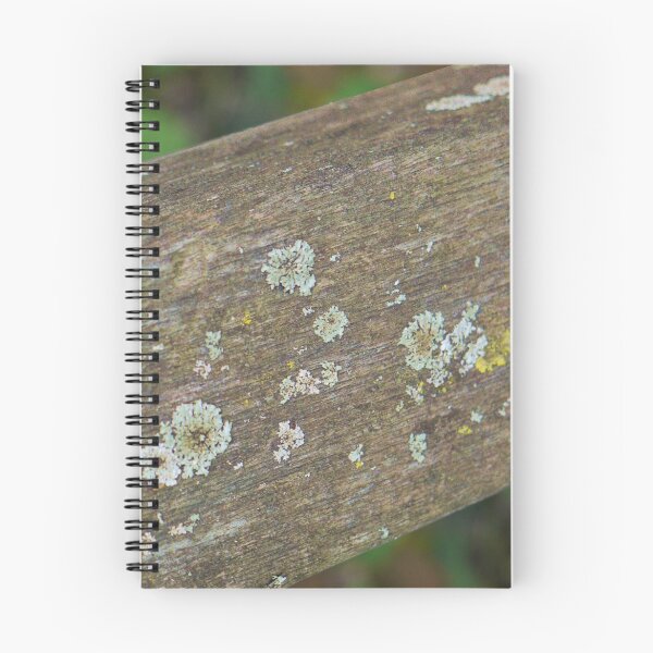 Item preview, The Mossy Side designed and sold by webster7.