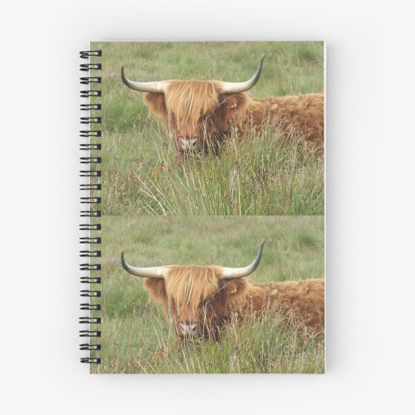 Item preview, Hairy Cattle designed and sold by Purpledillon.