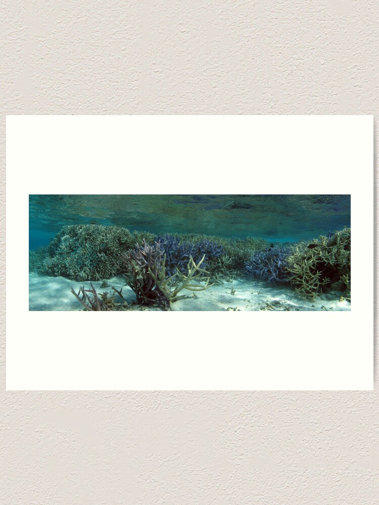 Alternate view of Wonderland IV Art Print
