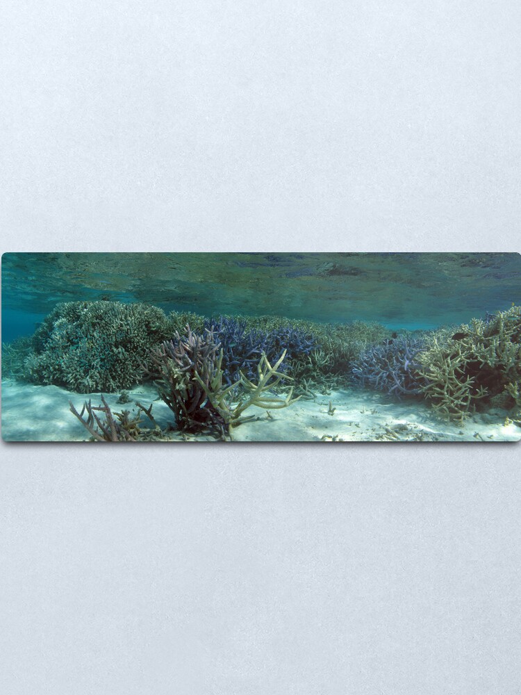 Alternate view of Wonderland IV Metal Print