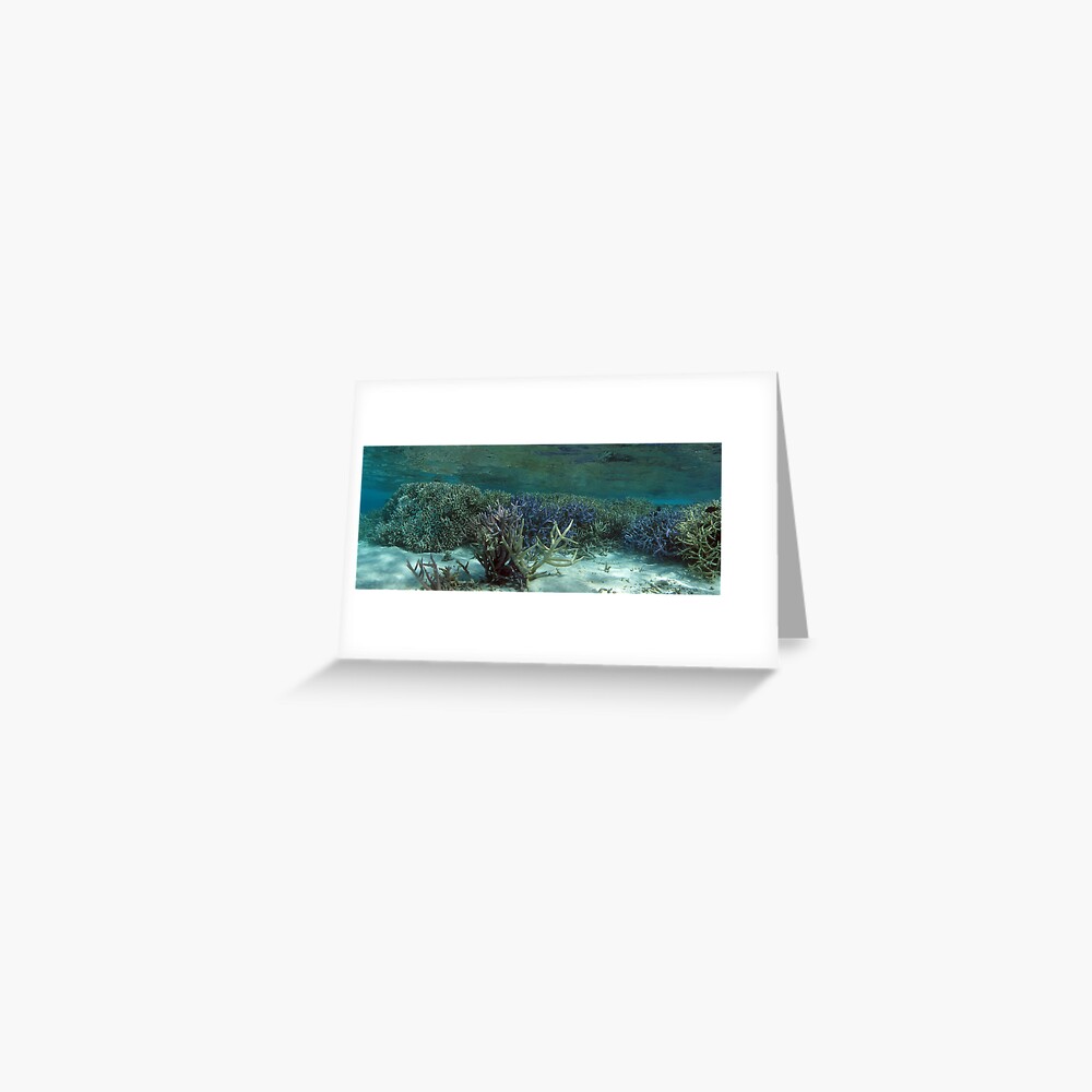 Wonderland IV Greeting Card