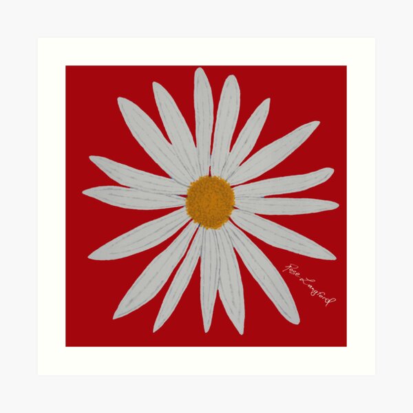 WHITE DAISY RED Art Print