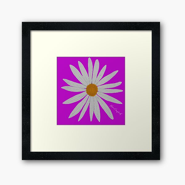 WHITE DAISY PINK Framed Art Print