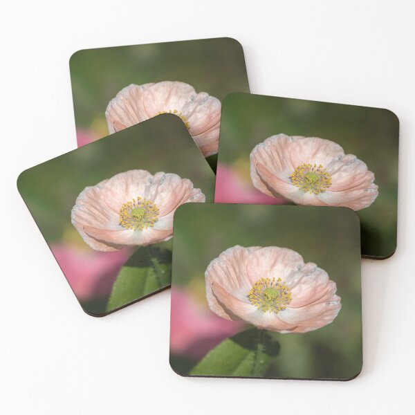 Item preview, Shirley Poppy 2019-2 designed and sold by Thomasyoung.