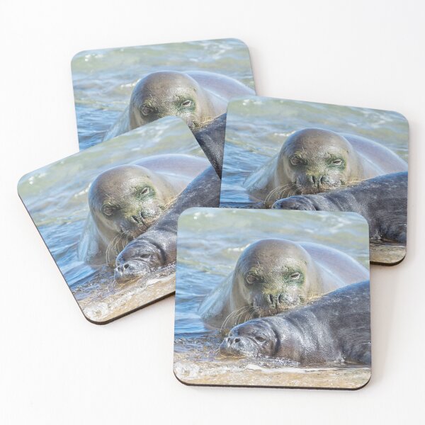 Item preview, Mama Monk Seal and Pup at the Shoreline, No. 2 - RB00 and PK1 designed and sold by Belinda Greb Photography.