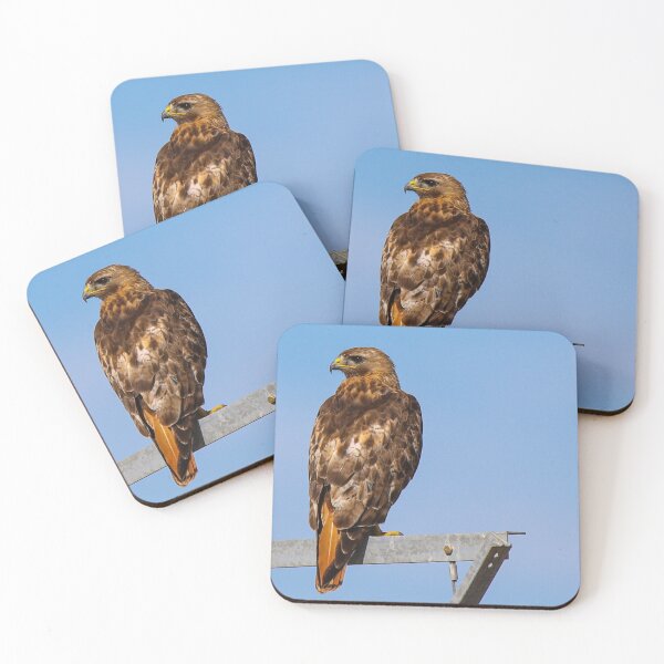 Item preview, Golden Eagle - Bird Of Prey designed and sold by FreelanceJim.