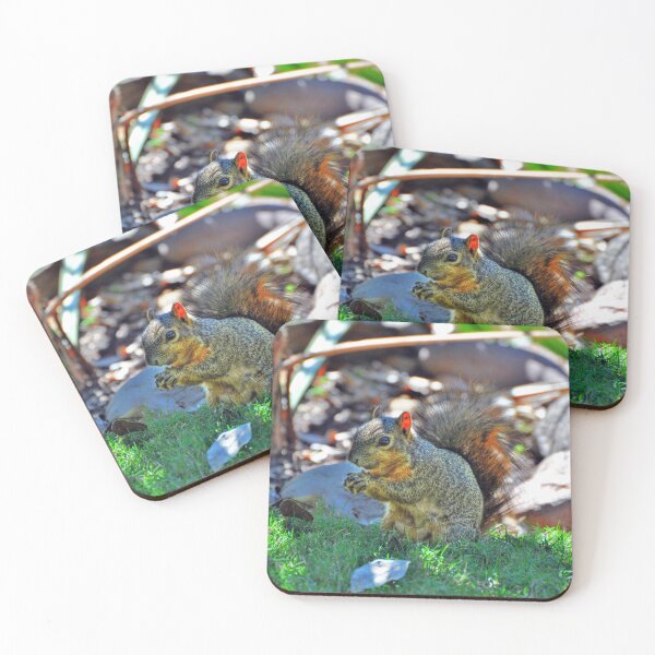 Item preview, Squirrel designed and sold by Savannah Gibbs.