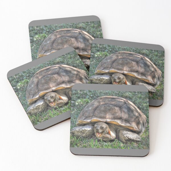 Item preview, Tortoise  designed and sold by Savannah Gibbs.