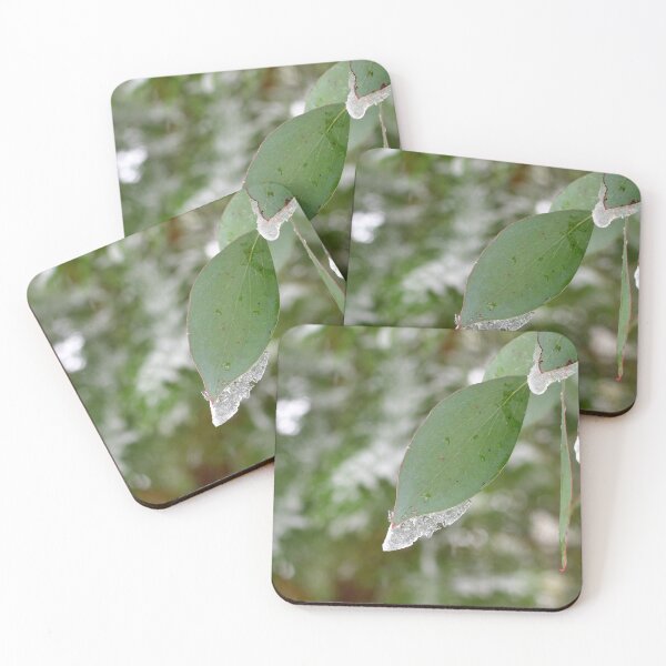 Item preview, Icy Eucalyptus leaf designed and sold by notjustamwac.