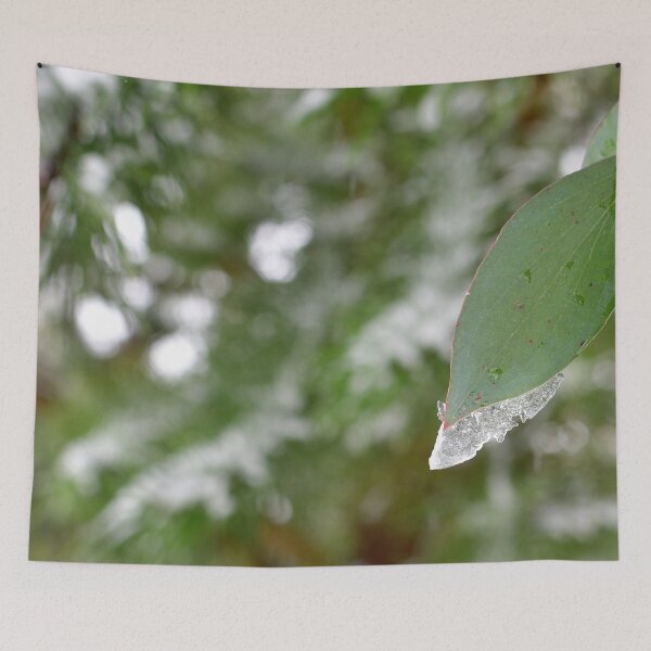 Item preview, Icy Eucalyptus leaf designed and sold by notjustamwac.