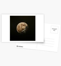 Moonskate. Skateboarding. Postcards
