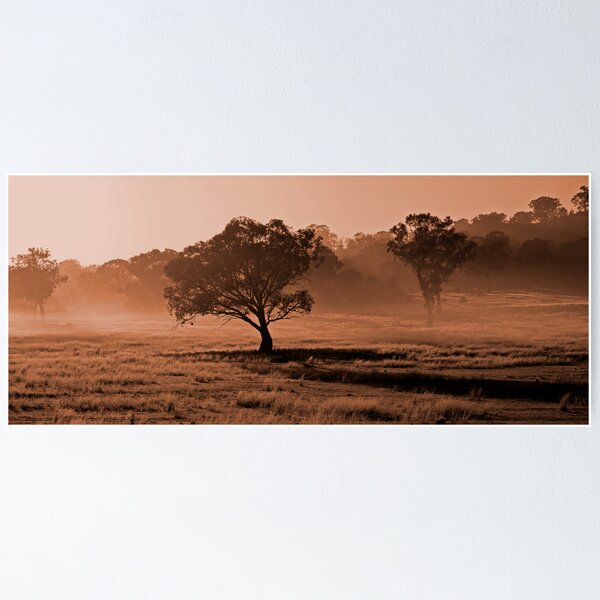 Item preview, Canberra Morning - A frosty morning in Canberra designed and sold by Brett Norman.