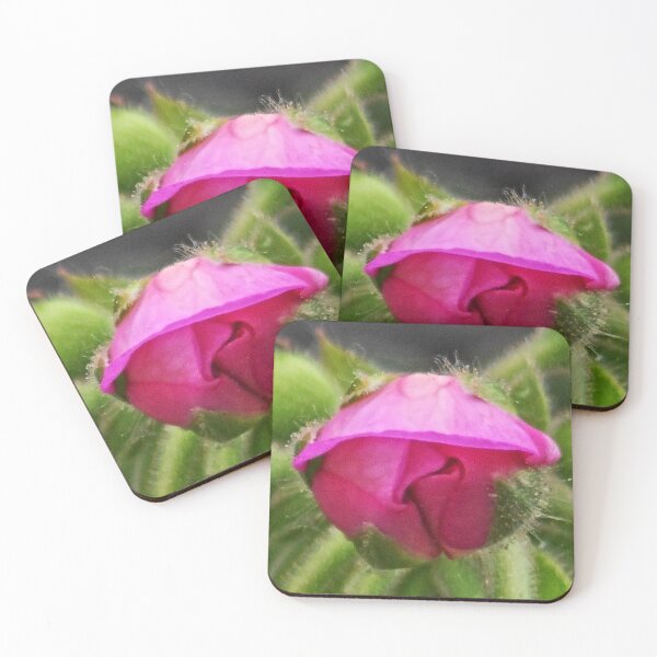 Item preview, NS Malva Bloom© designed and sold by OmarHernandez.