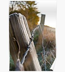 wire Poster