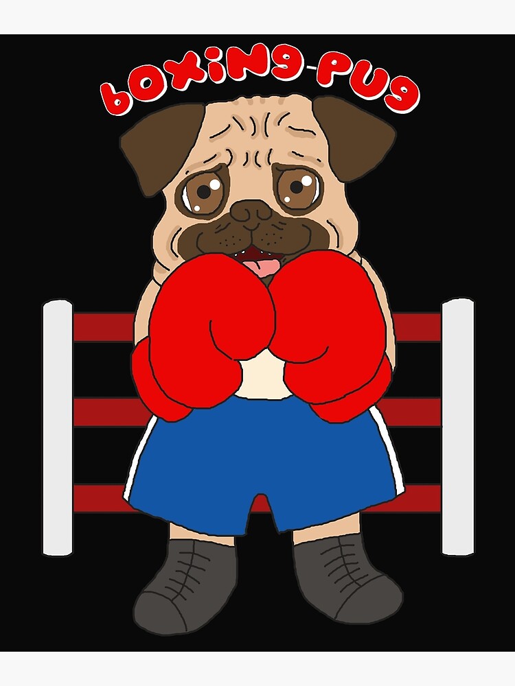 pug, boxing, boxing gloves gift idea Poster by Eichberger91