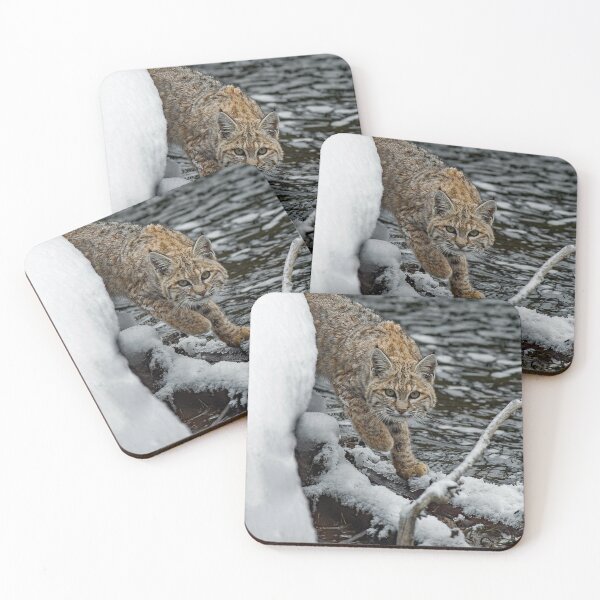 Item preview, Bobcat in the Snow designed and sold by Strawflower Oasis.