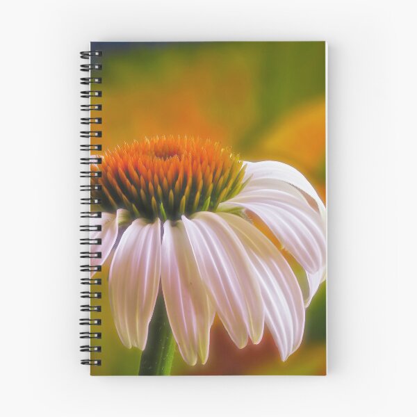 Item preview, White Coneflower designed and sold by Veikko  Suikkanen.