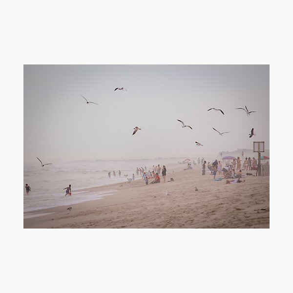 Hazy Shore Photographic Print