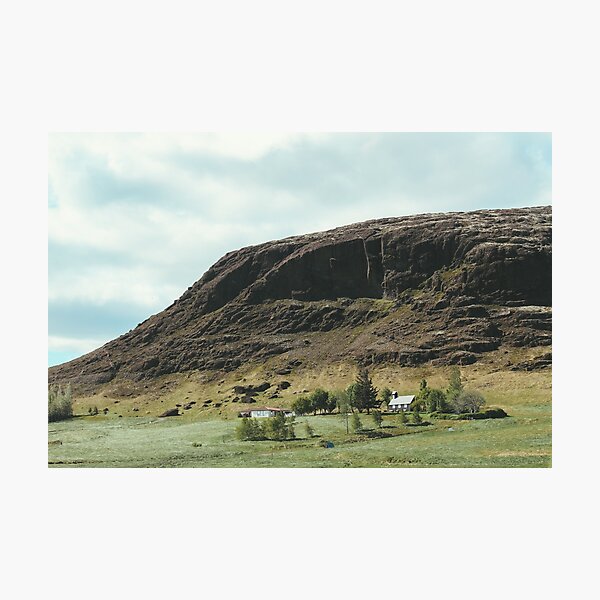 Greenery Photographic Print