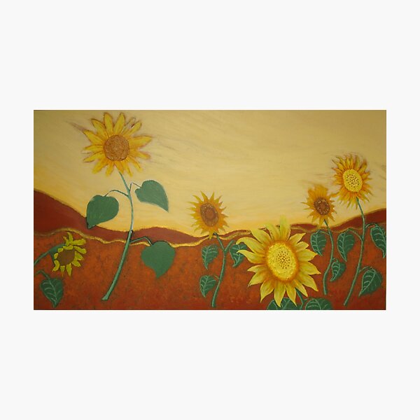JULIE'S SUNFLOWERS Photographic Print