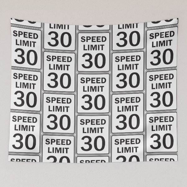 Item preview, Speed Limit 30 MPH Sign designed and sold by CarGear.