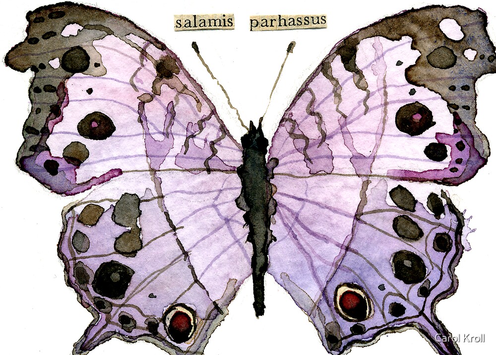 "Salamis Parhassus (MotherofPearl Butterfly)" by Carol Kroll Redbubble